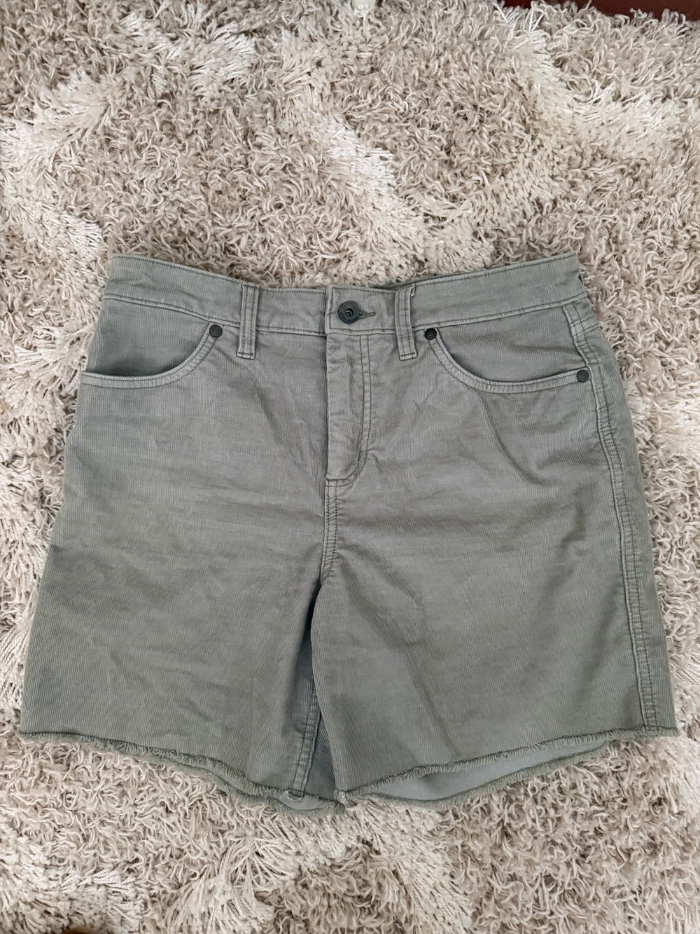 Carve Designs Olive Green Flat Front Women's Shorts